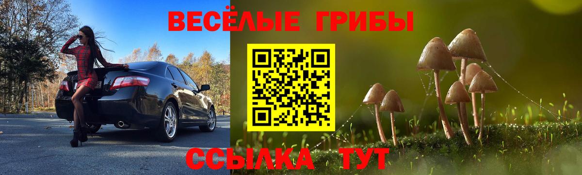 Новосибирск  Псилоцибиновые грибы GOLDEN TEACHER  Вход с VPN  Псилоцибиновые грибы Psilocybe 